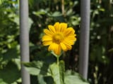 IMG_20250612_130756