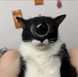 1752301549955642