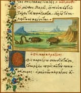 Medici_snake&amp;crab