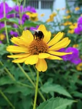 IMG_20240722_184319