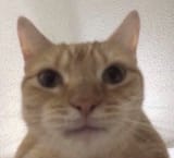 1751338241680345