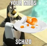 FS0LPr6WIAMMi8r