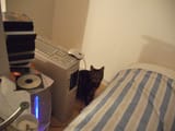 DSCF0309