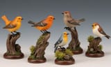 birds