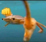 F__k67aWcAABKYS