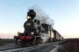 trains