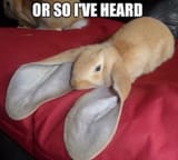 or-so-i-ve-heard