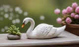swan