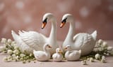 swans