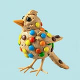 cookie birb 2