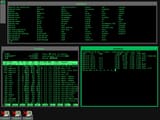 Debian_FVWM_Green