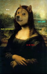 the-mona-doge-a-v0-nfpcg4e1sf991[1]