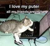 pute
