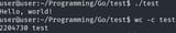 golang