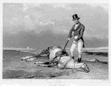 Beating-Dead-Horse