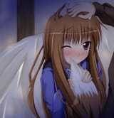 holo