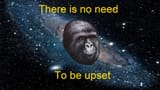 no need to be upset