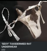 GtvyBQMXYAA6eWT[1]