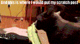 cA0f8fG - Imgur