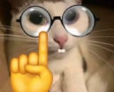 🤓🤓🤓