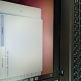 1000007401