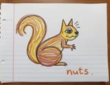 child&#039;s &lt;brown&gt; &lt;black&gt; and &lt;yellow&gt; crayon scribble s on notebook paper. distorted and wrapped &lt;squirrel with funny face&gt;. drawn in squiggly lines only crayon. wide rule notebook paper. bad art. stick figure. the eyes are mes