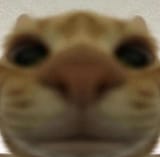 1741661756060016