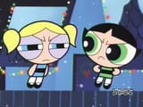 ppg bubbles annoyed