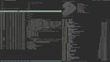 gentoo 3