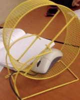 mouse