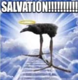 SALVATION