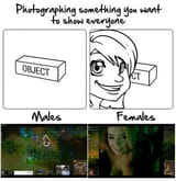 Typical Photo