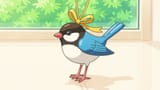 bird