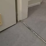 floor