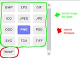 webp
