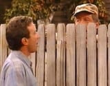 neighbour