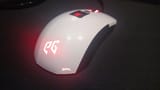 mine mice