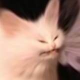 1733680526210957
