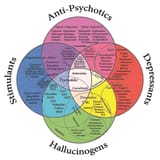 Drug_Chart_Color