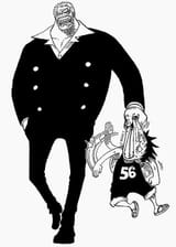 one piece