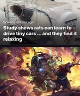 skaven passtime