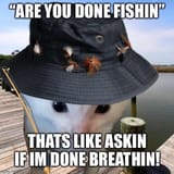 donefishin