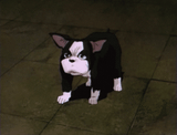 294px-Iggy_Death_OVA