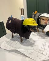 engineer