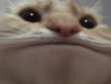 1595664191030