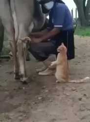 1660140781000246_thumb.jpg