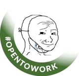 1705071479579391