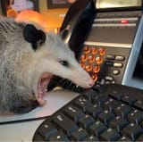 aaaaaa