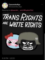 trans-nsdap