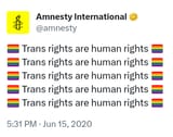 amnesty-troons